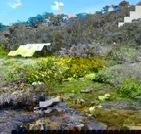 Hedonistic Hiking's Falls Creek to Hotham - Travel Agents