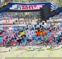 Ipswich Hospital Foundation Virtual Park2Park - Travel Agents