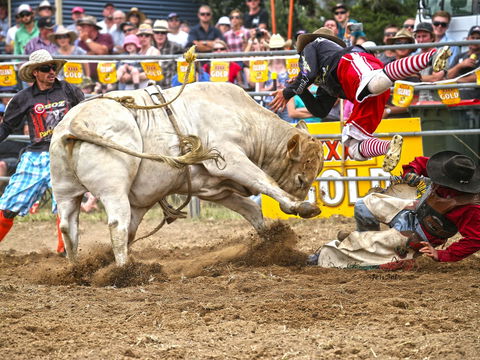 Jindabyne's Man From Snowy River Rodeo - Tourism Guide 0