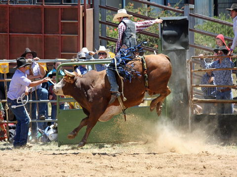 Jindabyne's Man From Snowy River Rodeo - Tourism Guide 2