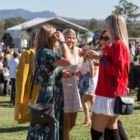 Lovedale Long Lunch - Tourism Guide 0