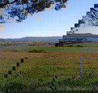 Milton Village Showground Markets - Travel Search