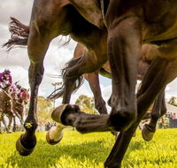 Night Markets and Race Day - Tourism Guide