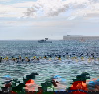 Nowra Toyota triHusky Huskisson Triathlon Festival Little Husky - Cruises Travel