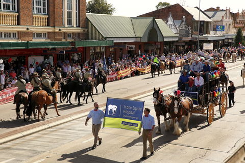 Scone Horse Festival - Travel Agents 0