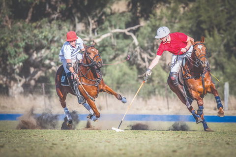 Scone Horse Festival - Travel Agents 1