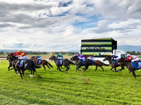 Scone Horse Festival - Travel Agents 2