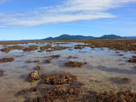Walk To The Reef - Tourism Guide 0