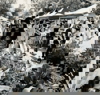 Yamba Farmers and Producers Market - Tourism Guide