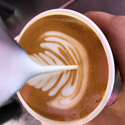 Yamba Farmers And Producers Market - Tourism Guide 2