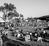 Yours and Owls Festival - Tourism Guide