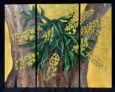 A Still Life - Solo Exhibition  Karen Sedaitis - Tourism Guide 1