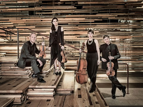 Australian String Quartet Plays Late Beethoven - Tourism Guide 2