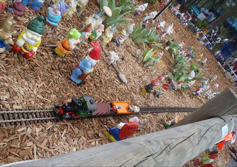 Australia Day With The Australian Gnome Convention Glenbrook - Tourism Guide 2