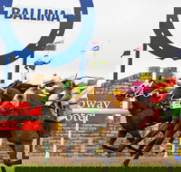 Ballina Boxing Day Races - Tourism Guide
