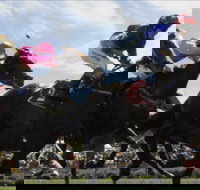 Batemans Bay Cup - Travel Agents