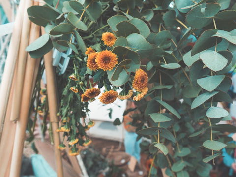 Boho Luxe Market - Adelaide - Travel Search 1