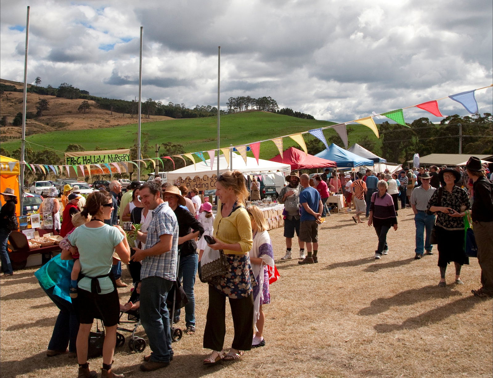 Bream Creek TAS Tourism Guide