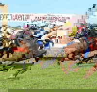 Casino Cup - Cruises Travel