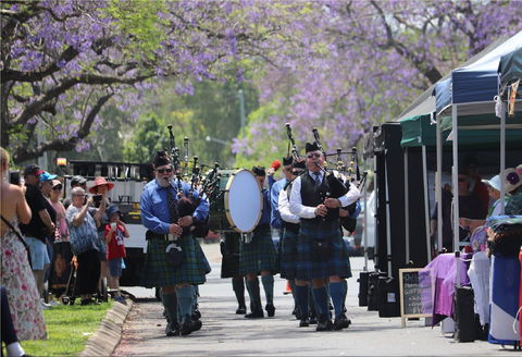 Celtic Festival Of Queensland - Tourism Guide 0