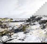 Christmas in July at Cradle Mountain Hotel 2020 - Travel Agents