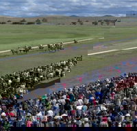 Cooma Sundowners Cup - Travel Search