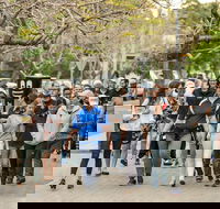 Diabetes Australia Walk to Work Day-Sydney - Travel Search