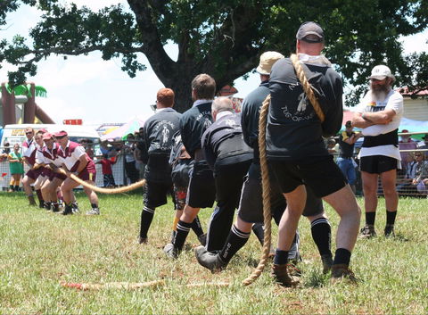 Dorrigo Agricultural Show - Tourism Guide 1