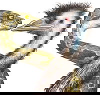 Edward The Emu - Cruises Travel