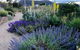 Highfield Gardens - thumb 0