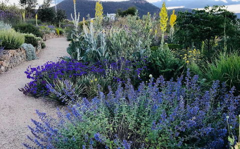 Highfield Gardens - Tourism Guide 0