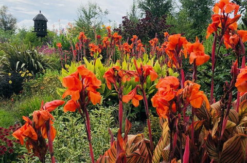 Highfield Gardens - Tourism Guide 1