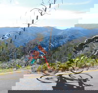 High Country Women's Cycling Festival - Travel Agents