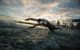 IRONMAN 70.3 Western Australia - thumb 0