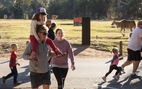 MAAS Group Dubbo Stampede Running Festival - Tourism Guide 1