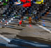 Moruya Town to Surf Fun Run - Travel Agents