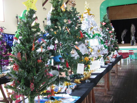 Mount Morgan Christmas Tree Festival - Travel Agents 0