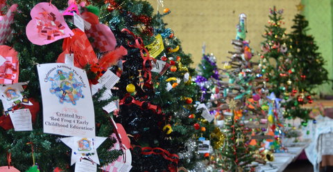 Mount Morgan Christmas Tree Festival - Travel Agents 2