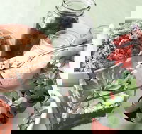 Online live streaming class Make Your Own Terrarium - Travel Search