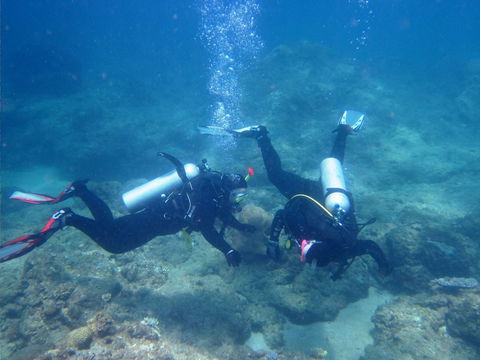Recovery Of The Great Barrier Reef - Tourism Guide 1