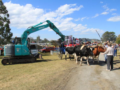SteamFest 2021 - Travel Agents 0