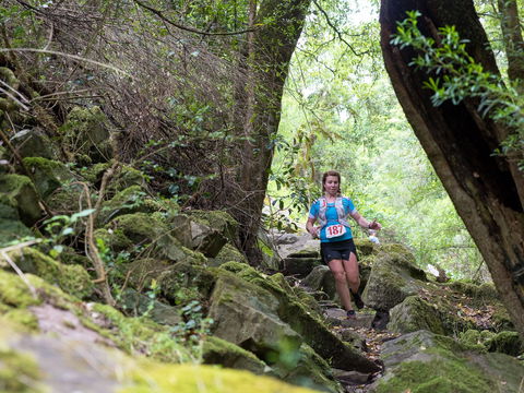 Summit Shoalhaven - Cruises Travel 2