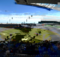 T20 World Cup Men's A2 vs B1 - Travel Agents