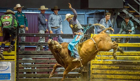 Top Gun And Young Gun Series Round 9 - Travel Agents 0