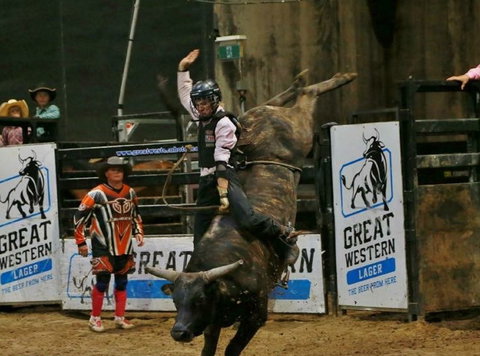 Top Gun And Young Gun Series Round 9 - Travel Agents 1