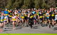 Wagga Lake Run Ride - thumb 1