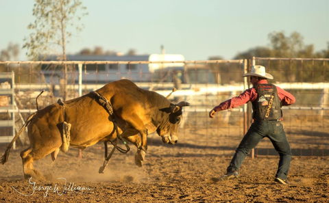 Walgett Charity Bushman's Carnival Rodeo And Campdraft - Tourism Guide 0