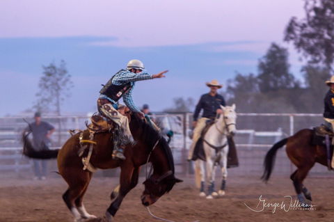 Walgett Charity Bushman's Carnival Rodeo And Campdraft - Tourism Guide 1