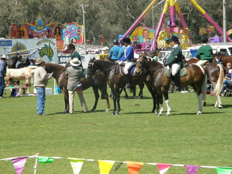 Wangaratta Show - Tourism Guide 0