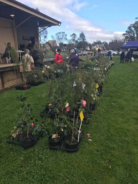 Yea Railway Market - Travel Agents 2